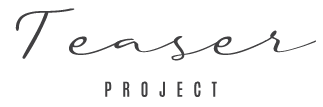 teaser Project Logo Basic